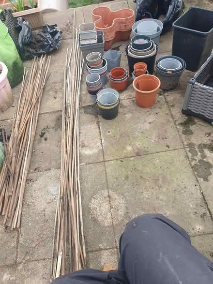 Photo of free Garden pots/canes/plastic pots (Ashbourne DE6 1) #1