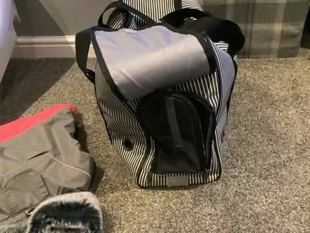 Photo of free Dog bag (Edinburgh EH9.) #2