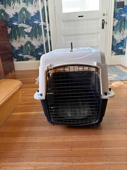 Photo of free Dog crate (downtown andover) #1