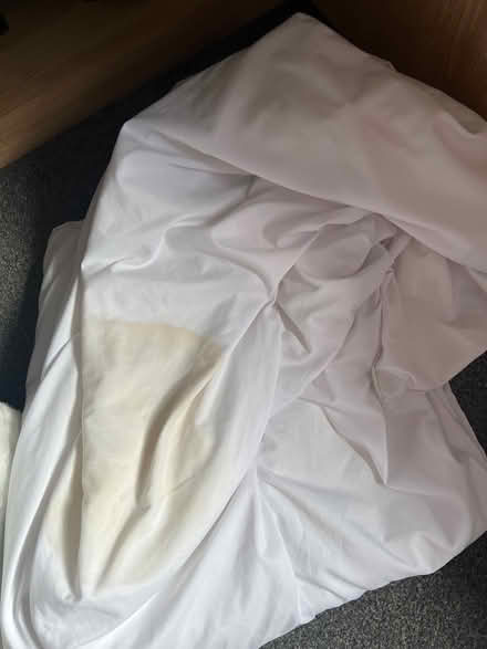 Photo of free Old stained pillows + single duvet (Norwich) #1