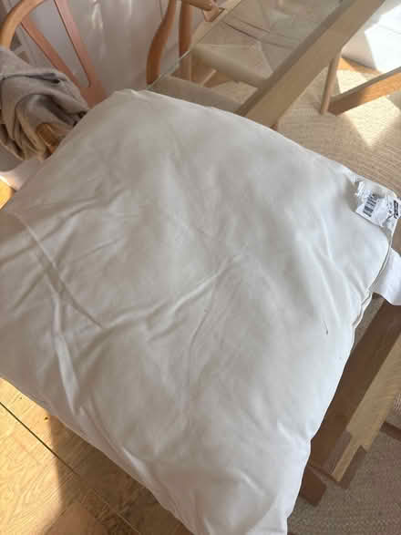 Photo of free Pilllow inside (Notting Hill W9) #1