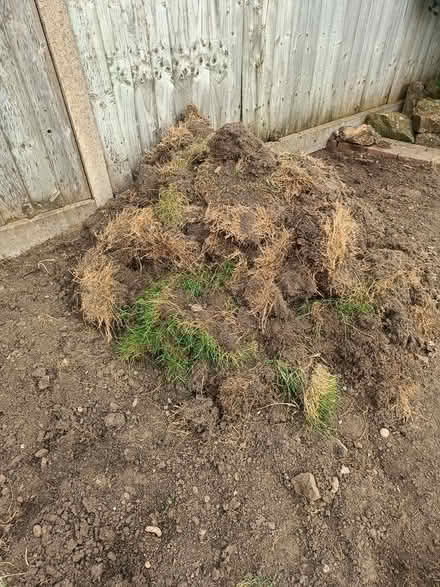 Photo of free Poor quality turf for composting (GU2 Stoughton) #1