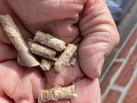 Photo of free Wood pellets (Colchester station CO4) #2