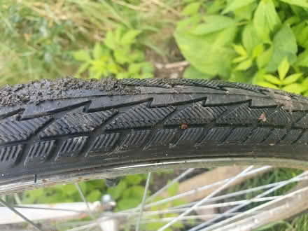 Photo of free Adult bike (Ashbourne DE6 1) #2