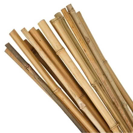 Photo of Bamboo sticks (CB4) #1