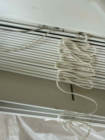 Photo of free Off white window blind (Lightwater GU18) #1