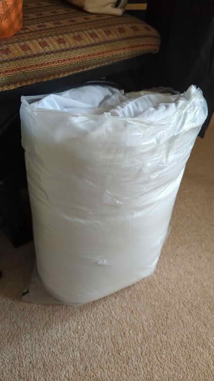 Photo of free 2x Next Pillows (Guildford GU1) #1