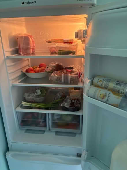 Photo of free Fridge freezer (Loggerheads TF9) #3