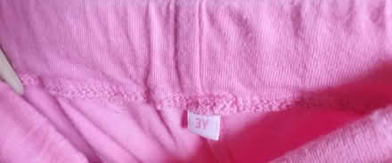 Photo of free Peppa pig outfit age 3 (Morecambe LA4) #4