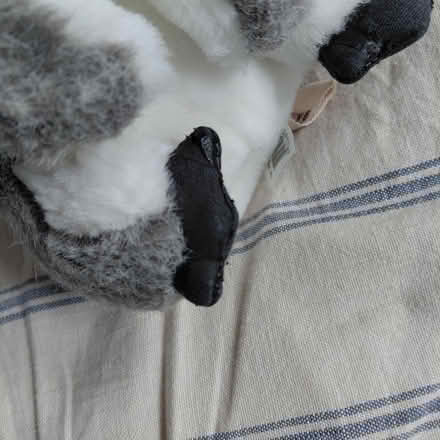 Photo of free Penguin puppet (Suju's on Decoto Road) #2