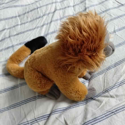 Photo of free FAO Schwartz plush monkey (Suju's on Decoto Road) #2