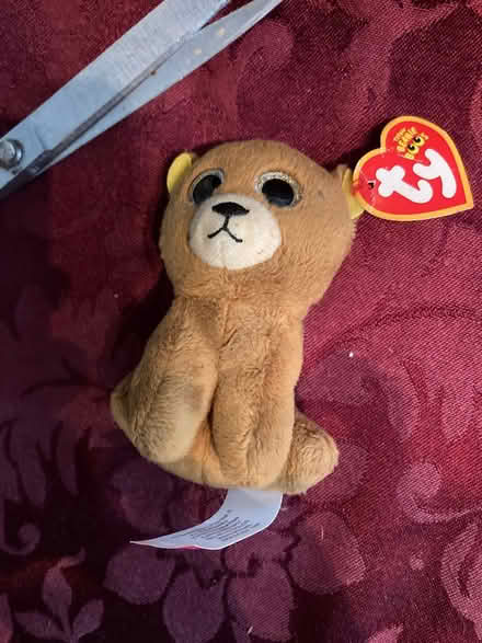 Photo of free Henry, the dog with Ty tag (Foothill Boulevard Cupertino) #1