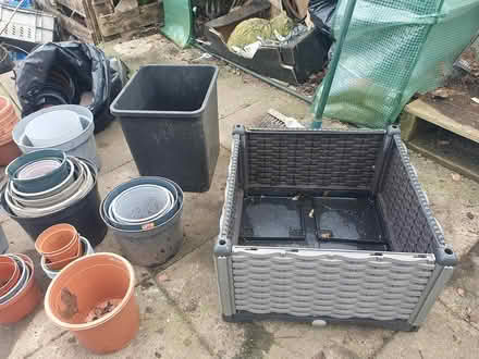 Photo of free Garden pots/canes/plastic pots (Ashbourne DE6 1) #3