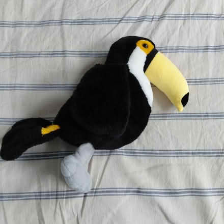 Photo of free Toucan plush (Suju's on Decoto Road) #2