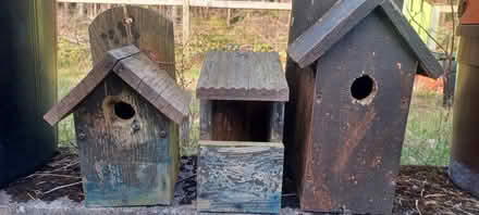 Photo of free Plant pots and Bird nesting boxes (AB31) #2