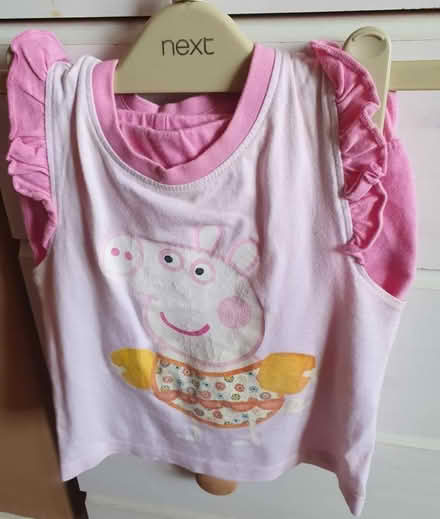 Photo of free Peppa pig outfit age 3 (Morecambe LA4) #1