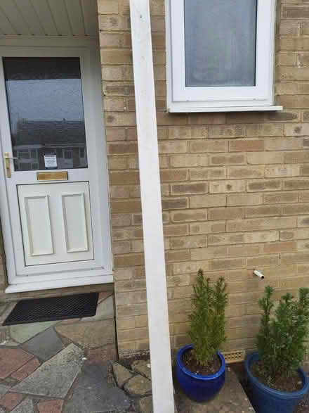 Photo of free Coving (Carterton OX18) #1