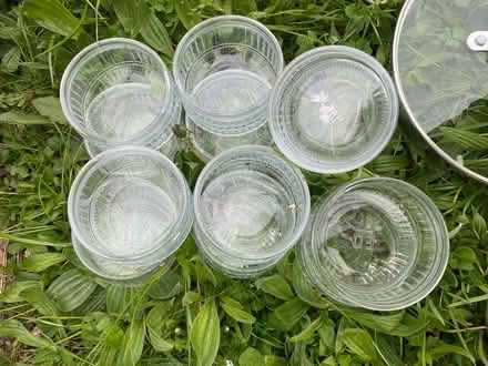 Photo of free 20 ramekins (2 different designs) (Cogges OX28) #1