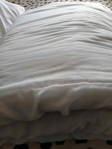 Photo of free Double duvet and pillow (Lower Morden SM4) #2