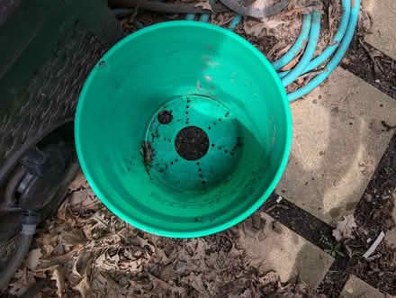 Photo of free Garden, hydroponic, brick, stone (Downtown Oak Park) #1