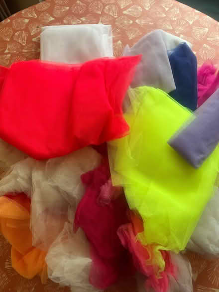 Photo of free Bag of net fabric (Nesscliffe SY4) #1