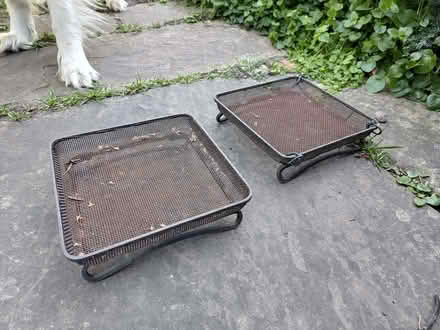 Photo of free Bird seed trays (Sutton Courtenay OX14) #1