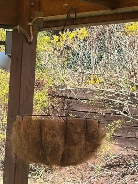 Photo of free Hanging Wire Basket (Thornwood, NY) #1