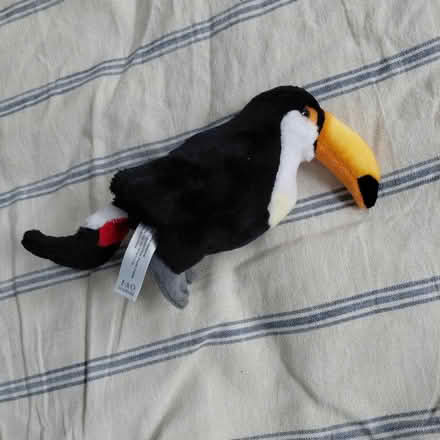 Photo of free Small toucan plush (Suju's on Decoto Road) #2
