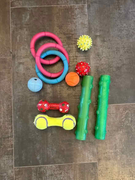 Photo of free Misc plastic dog toys (Glen Gardner, NJ) #1