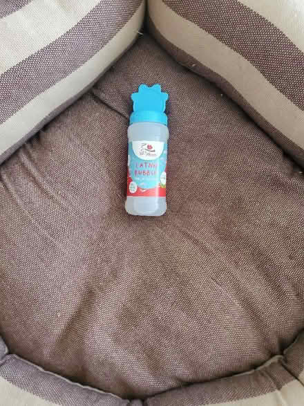 Photo of free Corner cat/small dog bed & Catnip bubbles (Iver SL0) #2