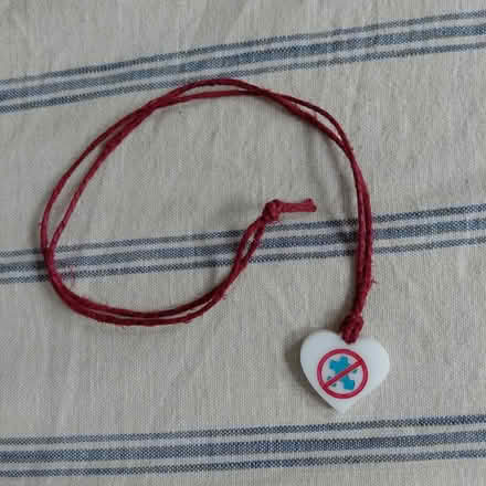 Photo of free Heart Necklace # 4 (Suju's on Decoto Road) #2