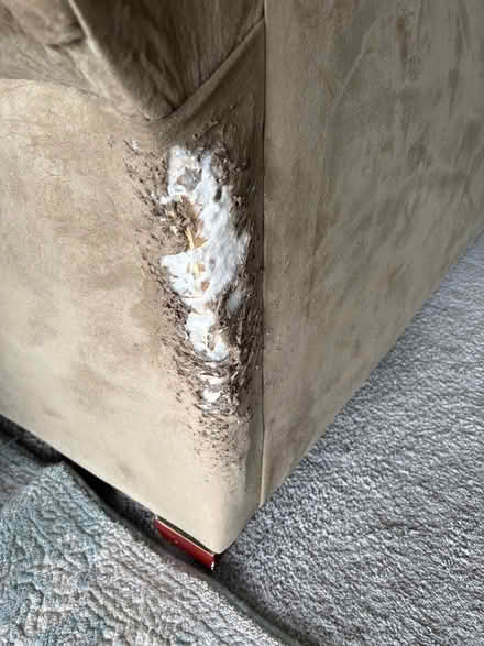 Photo of free Couch (Kingsheights) #3