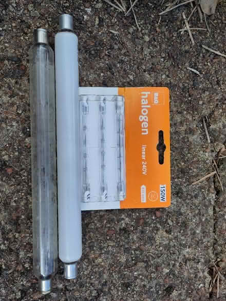 Photo of free Halogen lightbulbs (Elswick) #2