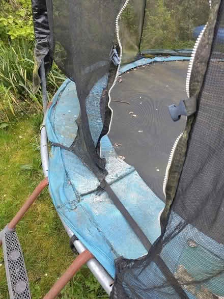 Photo of free Trampoline 3 metre diameter. (Oxford OX4) #4