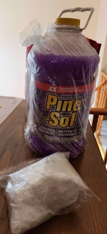 Photo of free Pine Sol Lavender & Plastic Gloves (Burhamthorpe & Robert Speck) #1