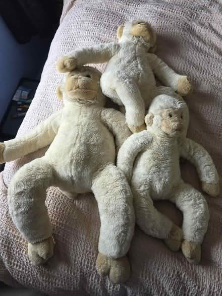 Photo of free 3x Monkey cuddly (Swindon Village GL51) #1