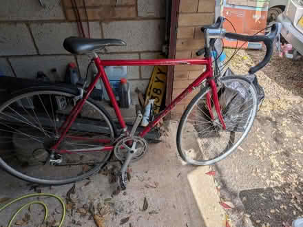 Photo of free Road bike (Droitwich WR9) #2