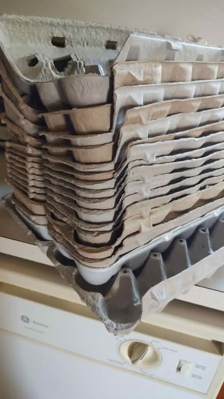 Photo of free Egg Cartons (Knoxville/Brunswick (21758)) #2