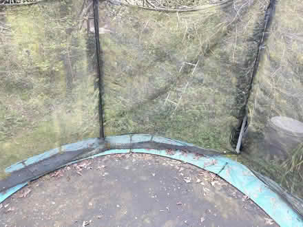 Photo of free Trampoline 3 metre diameter. (Oxford OX4) #3