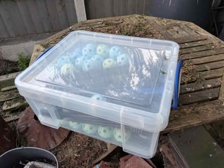 Photo of free Children's den building set (Chellaston DE73) #1