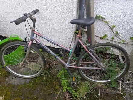 Photo of free Ladies bike (Sutton Manor WA8) #1