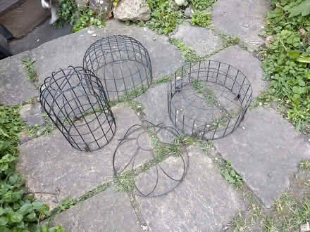 Photo of free Cages for plants (Sutton Courtenay OX14) #2