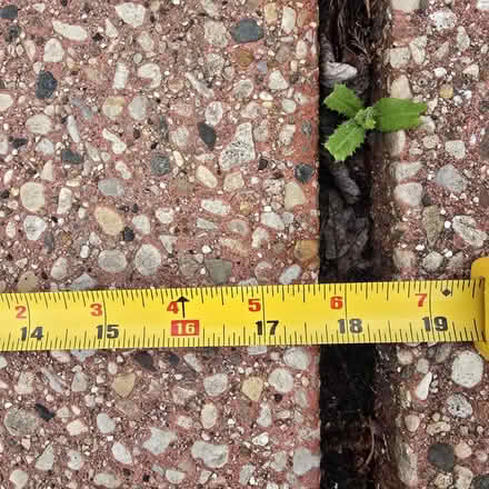 Photo of 8 red patio blocks 18" sq (DesPlaines) #2