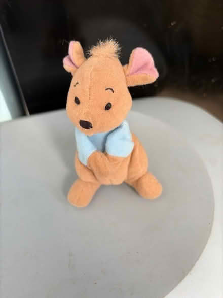 Photo of free Roo (Westbury BA13) #1