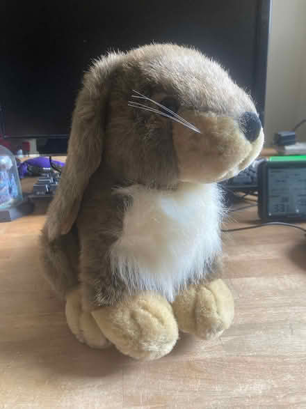 Photo of free Plush rabbit (West San Jose near Cupertino) #1