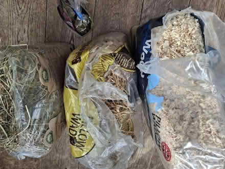Photo of free Wood shavings, straw, hay for guinea pig or rabbit (Browns Hill GL6) #1