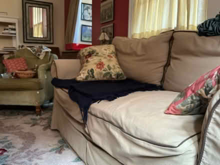 Photo of free in Northwest DC (Brightwood 20012) #1