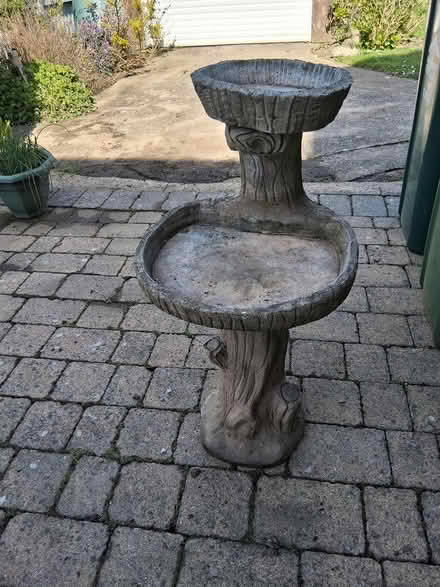 Photo of free Bird Bath (Shepperton) #2