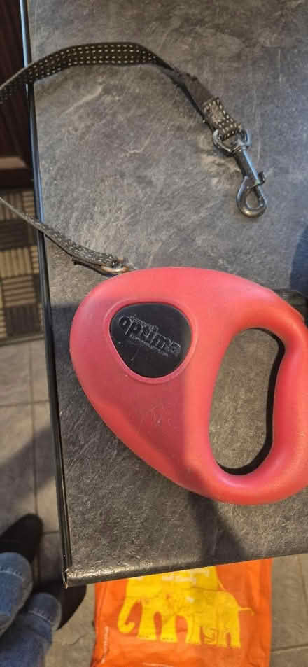 Photo of free Dog lead (Abbeydale Gloucester) #1