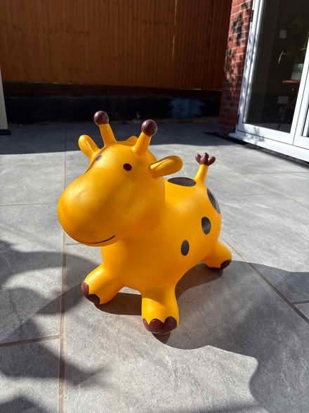 Photo of free Toddler bouncing toy (Waterlooville PO8) #1